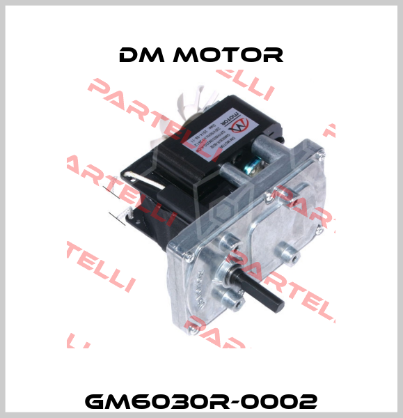 GM6030R-0002 DM Motor