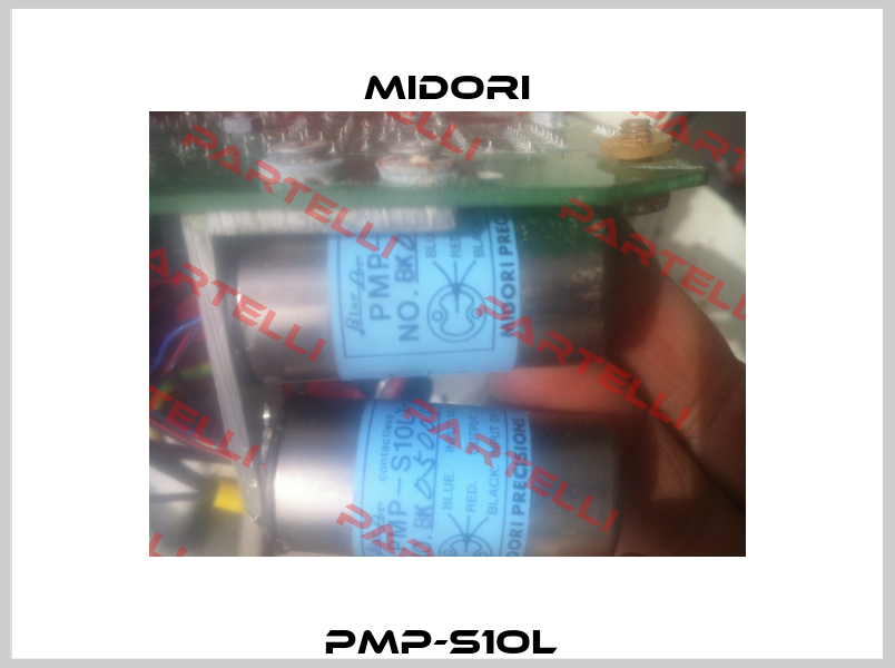 PMP-S1OL  Midori