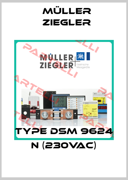 Type DSM 9624 N (230VAC) Müller Ziegler