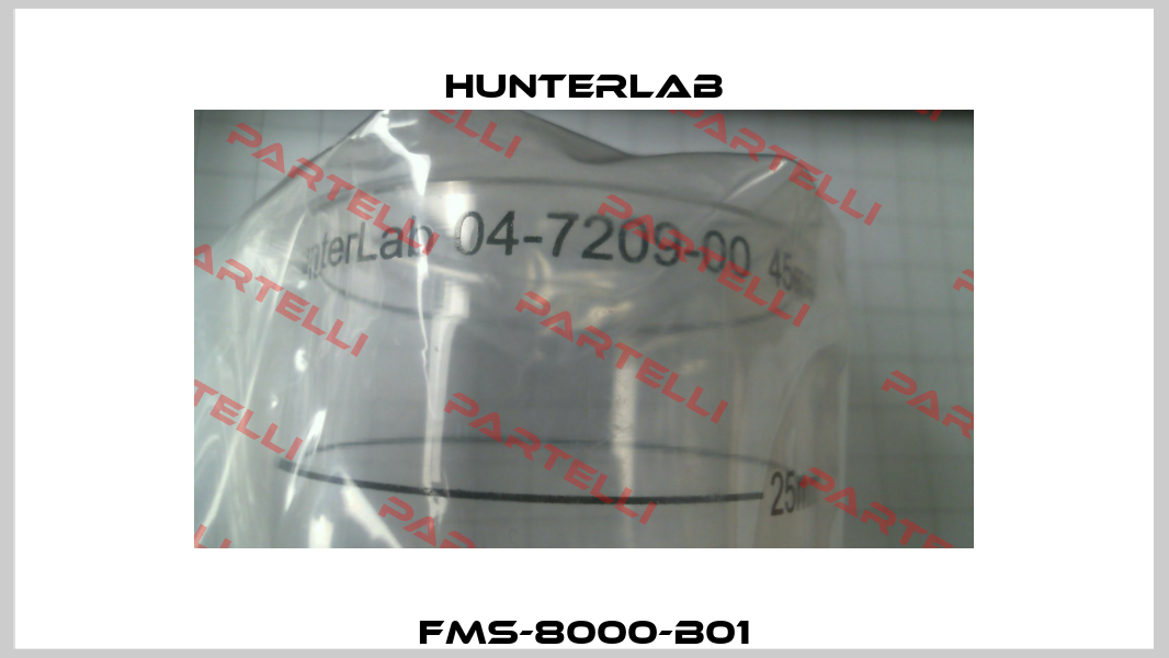 FMS-8000-B01 HUNTERLAB