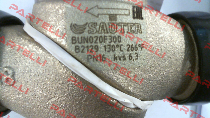 BUN020F300 Sauter