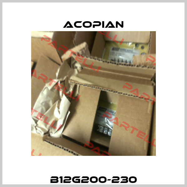 B12G200-230 Acopian