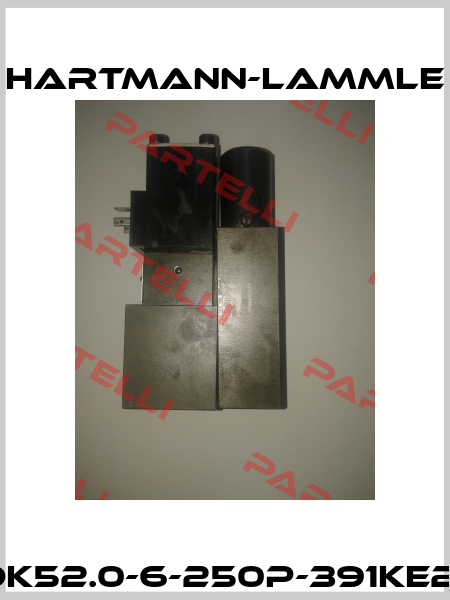 DK52.0-6-250P-391KE2* Hartmann-Lammle