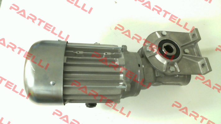 RMI40-100/1-MM63L/4-SO Carpanelli