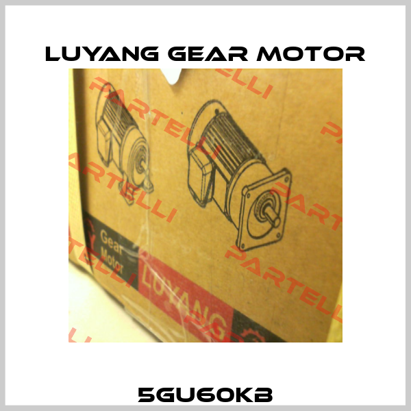5GU60KB Luyang Gear Motor