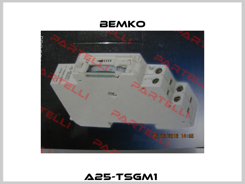 A25-TSGM1  Bemko