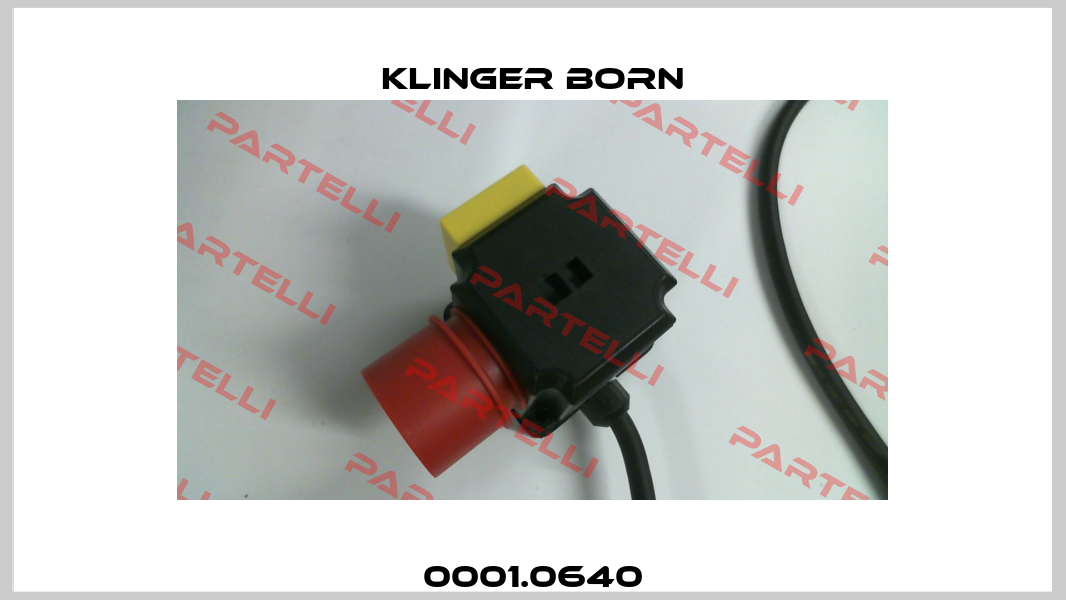 0001.0640 Klinger Born