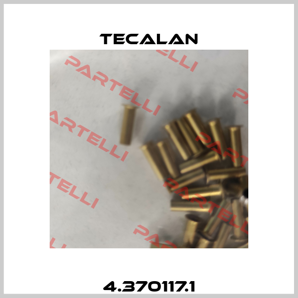 4.370117.1 Tecalan