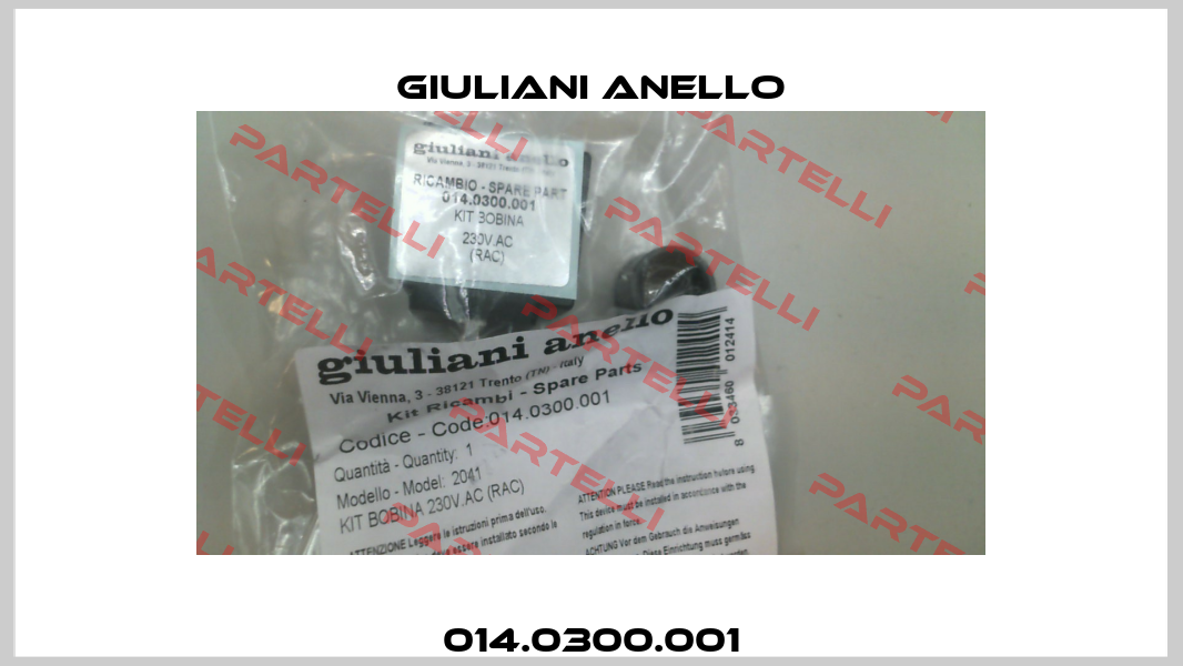014.0300.001 Giuliani Anello