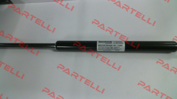 B2L2-55-250-600-001 1700N Bansbach easylift