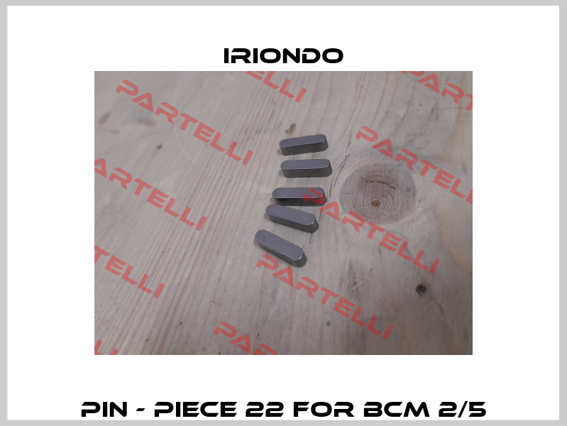 Pin - Piece 22 for BCM 2/5 IRIONDO
