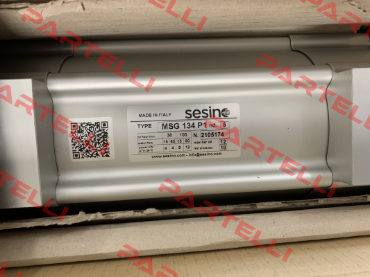 MSG 134 P1 (SCMSG134P1) Sesino
