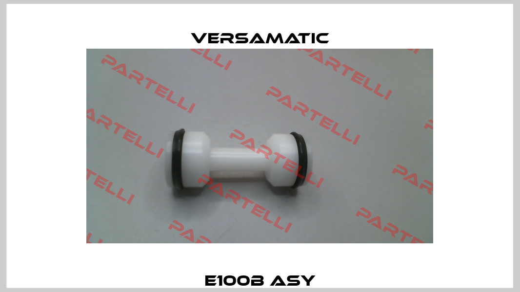 E100B ASY VersaMatic