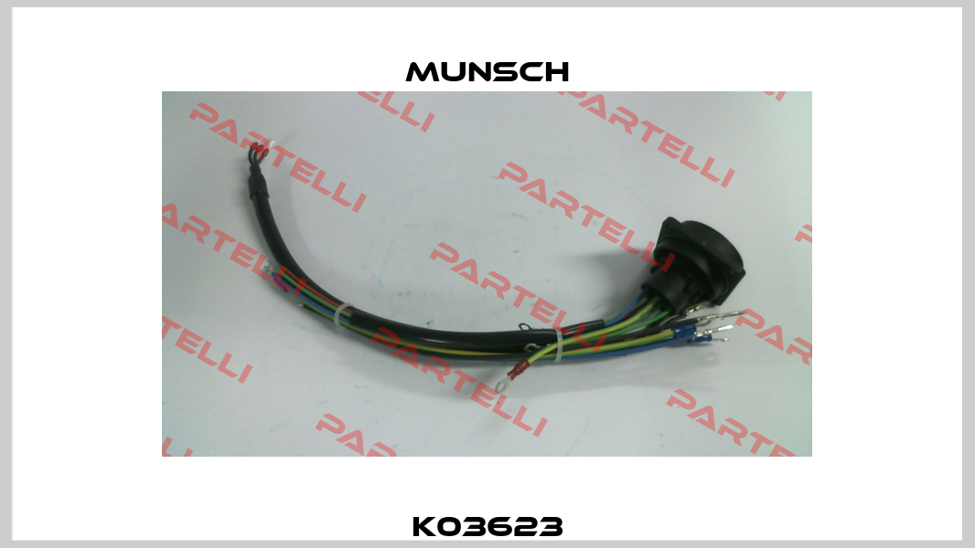 K03623 Munsch