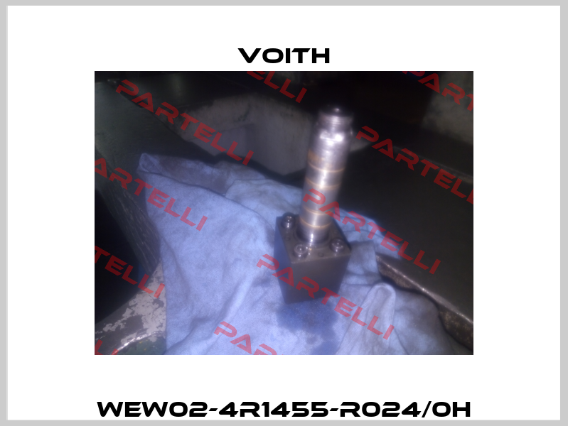 WEW02-4R1455-R024/0H Voith
