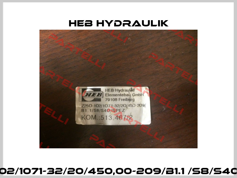 Z250-102/1071-32/20/450,00-209/B1.1 /S8/S40/spez  HEB Hydraulik