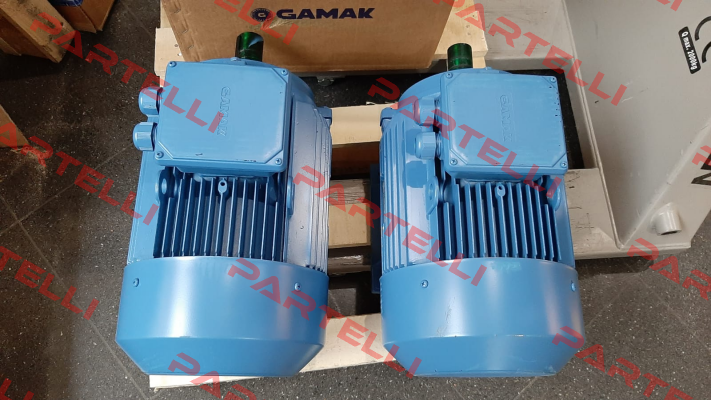 AGM3EL 132 M 2b Gamak