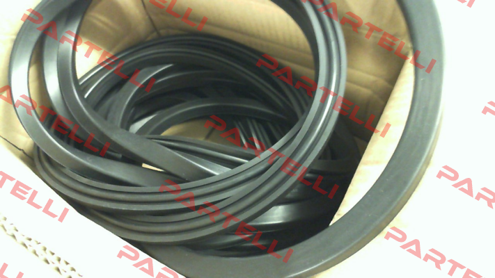 RD Gasket D471 NBR RD560 Rahmer+Jansen