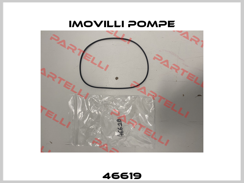 46619 Imovilli pompe