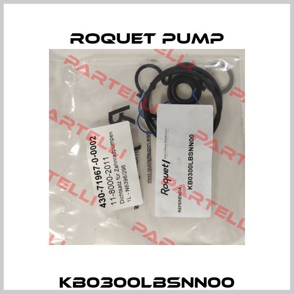 KB0300LBSNN00 Roquet pump