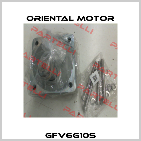 GFV6G10S Oriental Motor