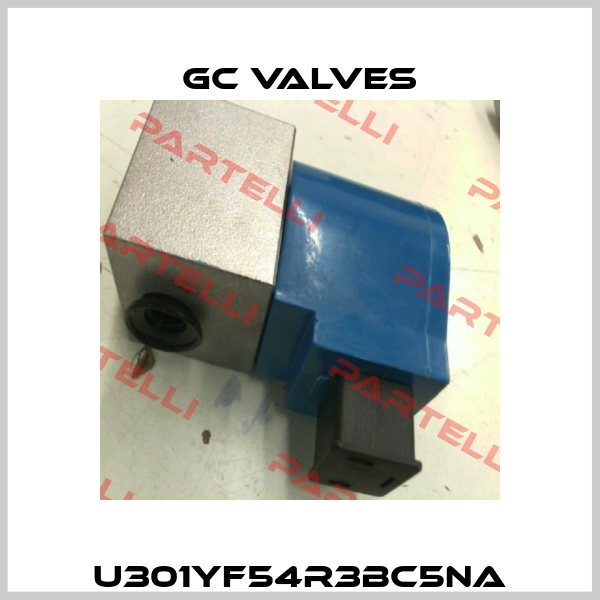 U301YF54R3BC5NA GC Valves