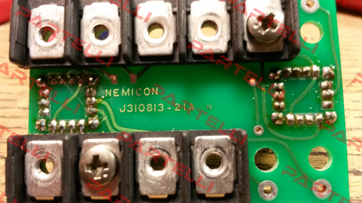 J310813-21A  Nemicon1