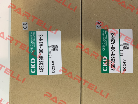 4GE319R-00-A2N-3 Ckd
