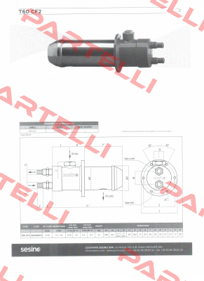 T60 C2 Sesino