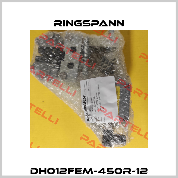 DH012FEM-450R-12 Ringspann