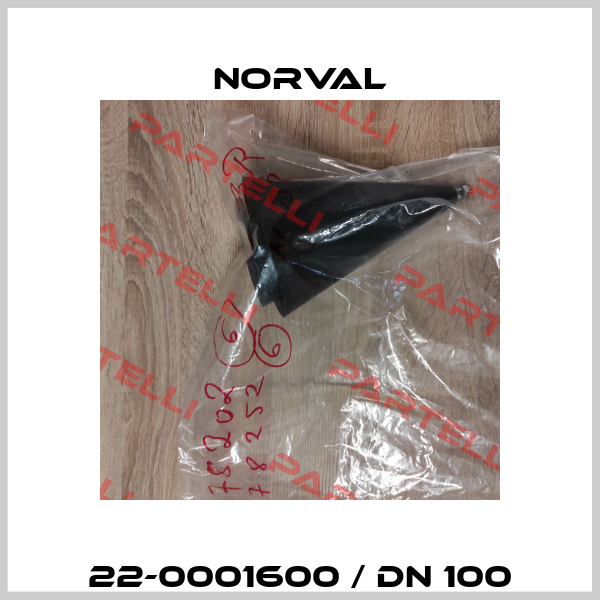 22-0001600 / DN 100 Norval