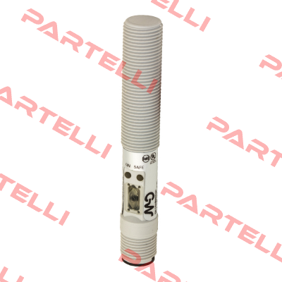 C18P/C0-1E Micro Detectors / Diell (now Datasensing)