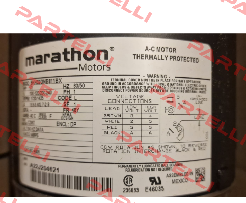 A00049126 Marathon (Regal)