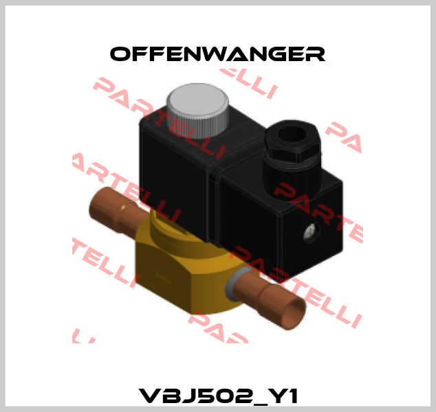 VBJ502_Y1 OFFENWANGER