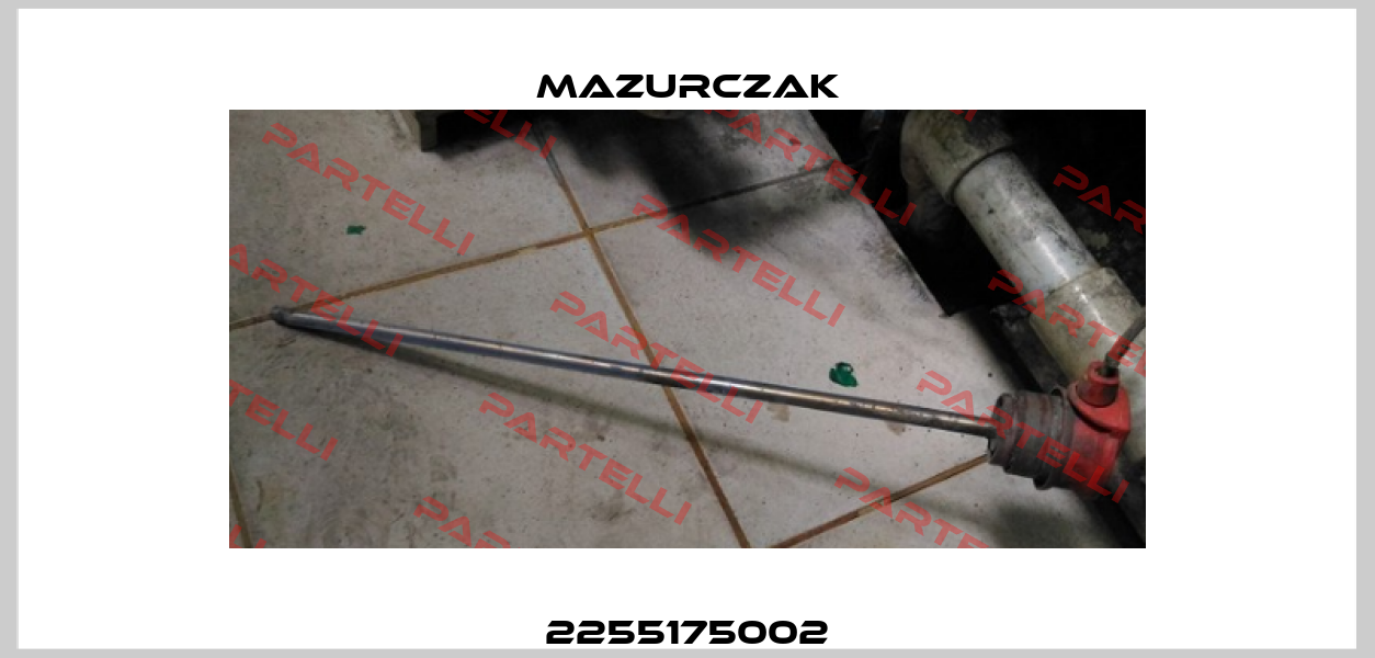 2255175002 Mazurczak