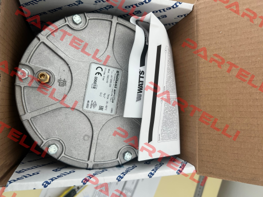 Type: 70631/6B, Code: 007.0065.000 Giuliani Anello