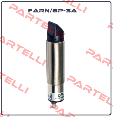 FARN/BP-3A Micro Detectors / Diell (now Datasensing)