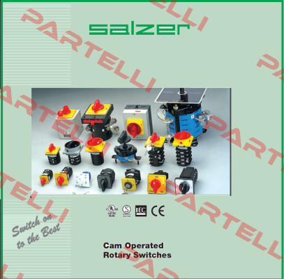 61131 Salzer