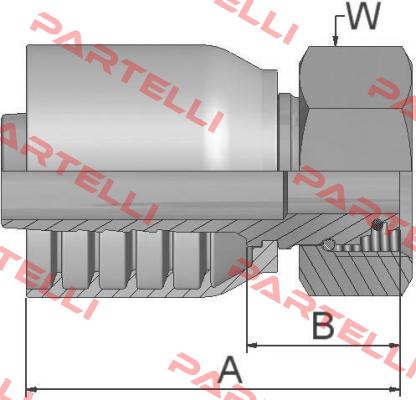 1C973-38-20 Parker