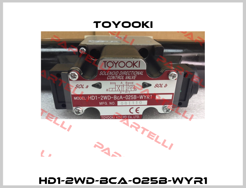 HD1-2WD-BCA-025B-WYR1 Toyooki