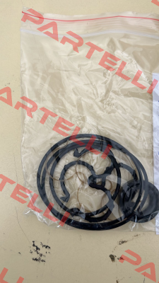 Seal kit for 20C15X006F Caproni