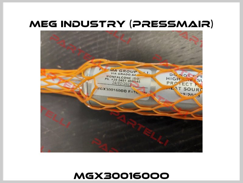 MGX300160OO Meg Industry (Pressmair)