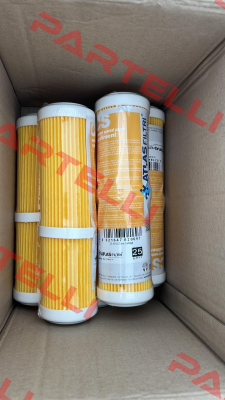 RA5035111 Atlas Filtri