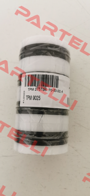 TPM 70 - 50 -22,4 Guarnitec