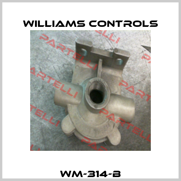 WM-314-B Williams Controls