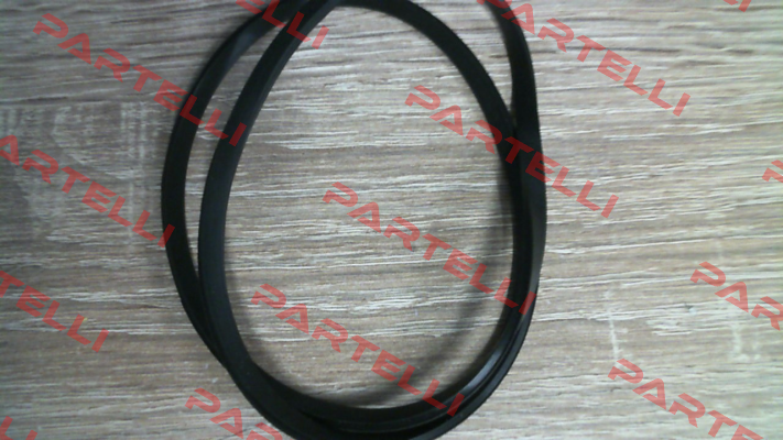 Casing Oring for NM25/160AE-60 2013408020 Calpeda
