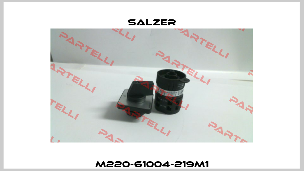 M220-61004-219M1 Salzer