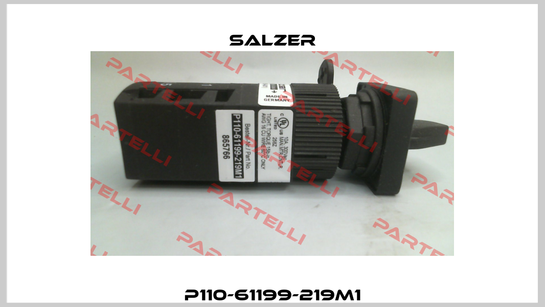 P110-61199-219M1 Salzer