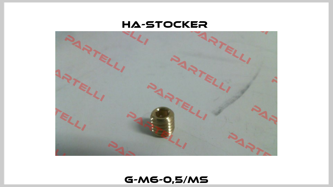 G-M6-0,5/Ms HA-Stocker 