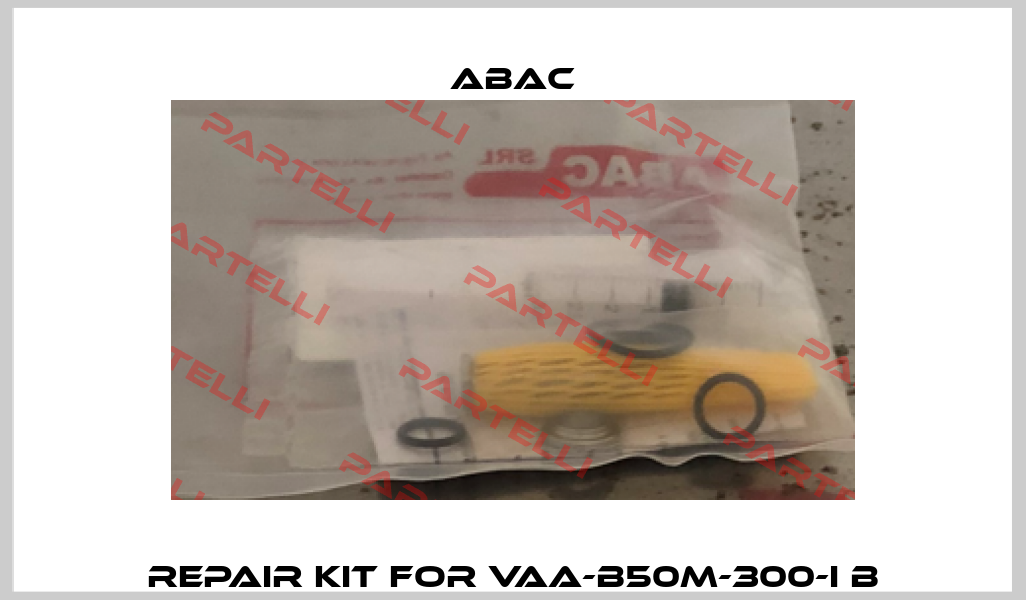 Repair kit for VAA-B50M-300-I B ABAC